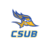 Cal State Bakersfield Roadrunners