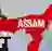 Assam (F)
