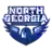 North Georgia Nighthawks