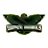 Seattle Super Hawks