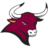 Colorado Mesa Mavericks (Nữ)