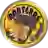 Panteras De Miranda