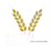 Nueva Ecija