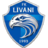 FK Livani