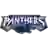 South Adelaide Panthers