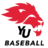 York Lions (F)
