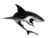 Sharks La Serena