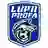 ACS Lupii Profa
