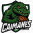 Caimanes del Llano