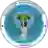 CD Aampetra