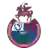 C.S.D. Municipal