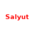 Salyut U17