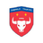 Cheadle Town Stingers Wfc (Women)