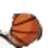 ASA Timberwolves