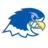 Notre Dame Falcons