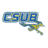Đội bóng nữ CSU Bakersfield Roadrunners