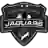 Мичиган Ягуарс (жен)