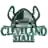 Кливленд Стэйт Викингз