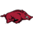 Arkansas Razorbacks (Women)