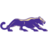 Sioux Falls Cougars (Women)