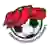 HJS Akatemia