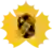 Skelleftea AIK