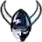 Western Washington Vikings