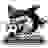 Ranong United