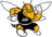 American Yellow Jackets (Women)
