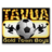 Tavua
