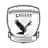 Boroondara Carey Eagles