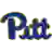 Pittsburgh Panthers