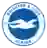 Brighton & Hove Albion (nekishka)
