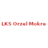 LKS Orzel Mokre