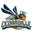 Đội bóng Cedarville Yellow Jackets