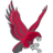 Montclair St. Red Hawks