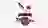 Magpies