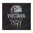 Mad Vikings