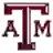 Техас A&M Эйджис (жен)