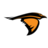 Anderson Ravens