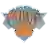 New York Knicks