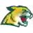 Northern Michigan Wildcats