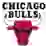 Чикаго Буллз (Merekurai)