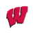 Wisconsin Badgers