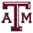 Техас A&M Эйджис (жен)