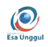 Эса Унггул Университет