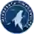 Minnesota Timberwolves (cyber)
