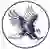 Dickinson State Blue Hawks (Women)