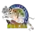 Синьцзян Флаинг Тайгерс II