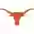 Texas Longhorns